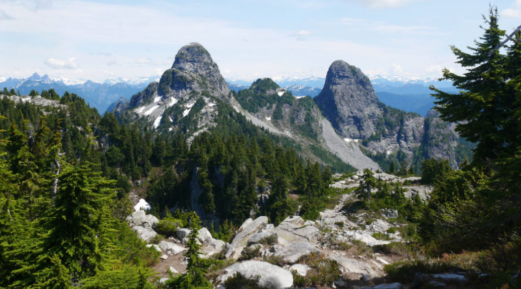 The Lions from Unnecessary Mountain