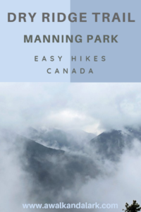 Pretty views through the mist on Manning Park's Dry Ridge Trail