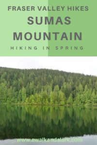 Sumas Mountain- Fun hikes in the Fraser Valley, Canada