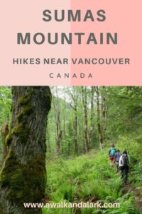 Sumas Mountain Trail - Hikes near Vancouver, Canada