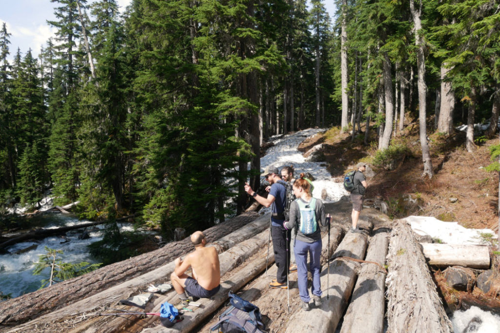 Amazing log crossing
