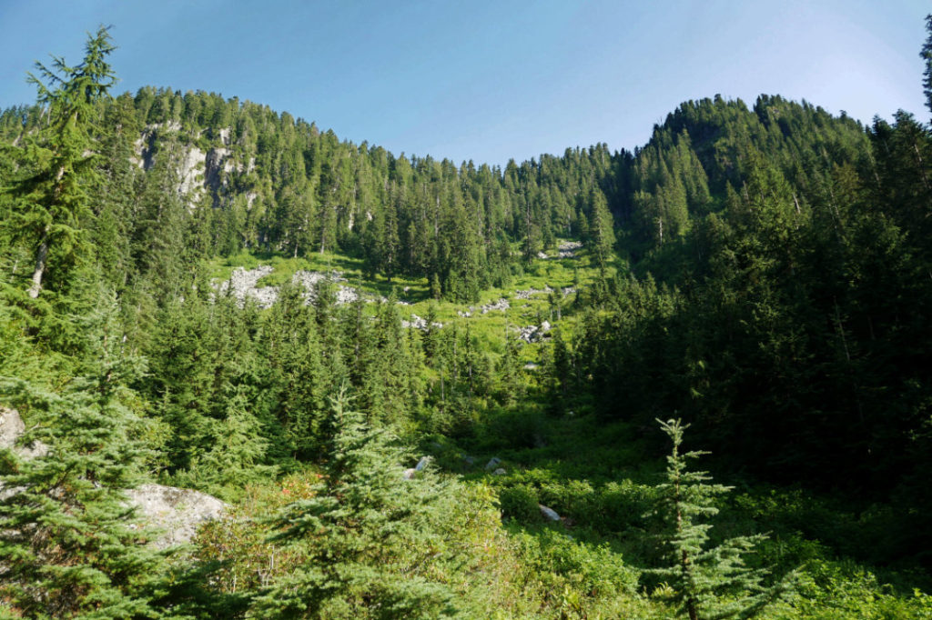 Norvan meadows