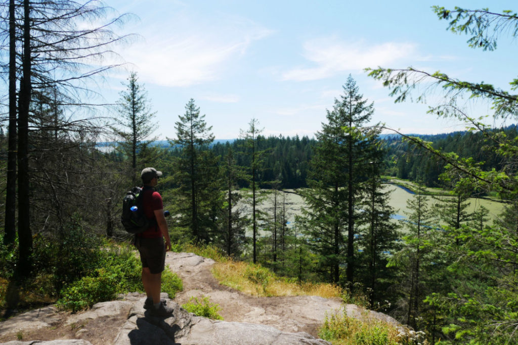 Low knoll viewpoint -Minnekhada Park