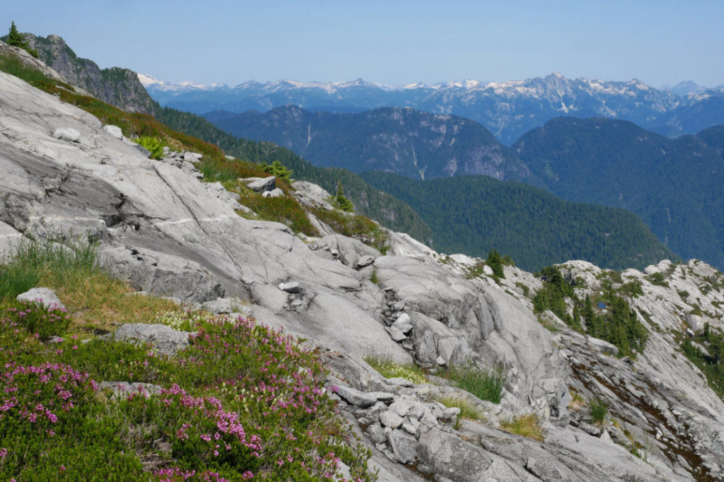 Beautiful ridge on Mount Burwell