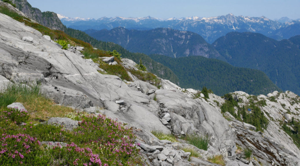 Beautiful ridge on Mount Burwell