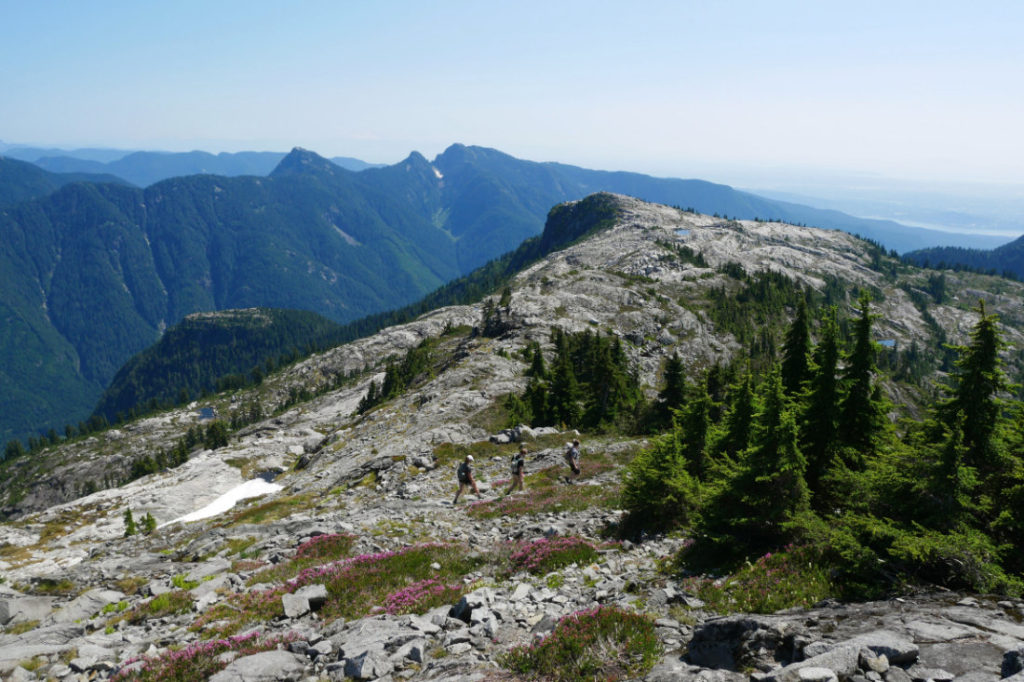 Coliseum Mountain from Mount Burwell