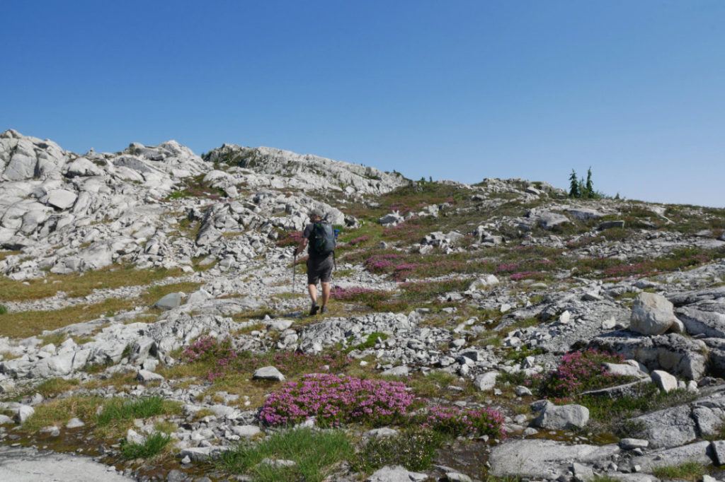 Back to Coliseum Mountain