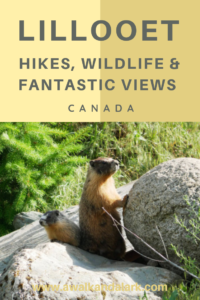 Lillooet - great for spotting wildlife