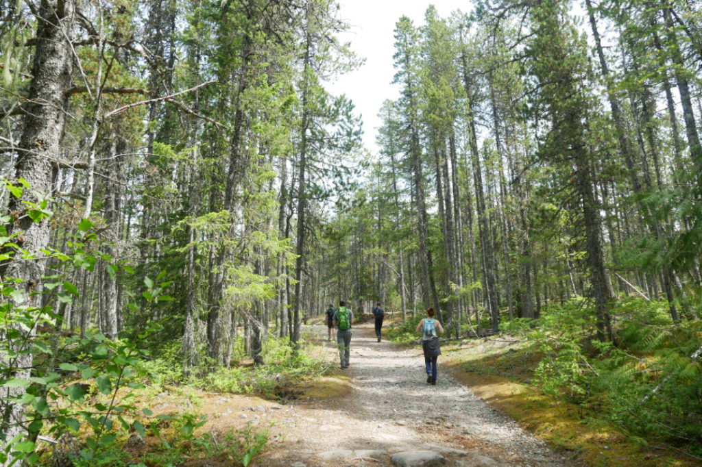 Lava Lake loop in Brandywine Provincial Park