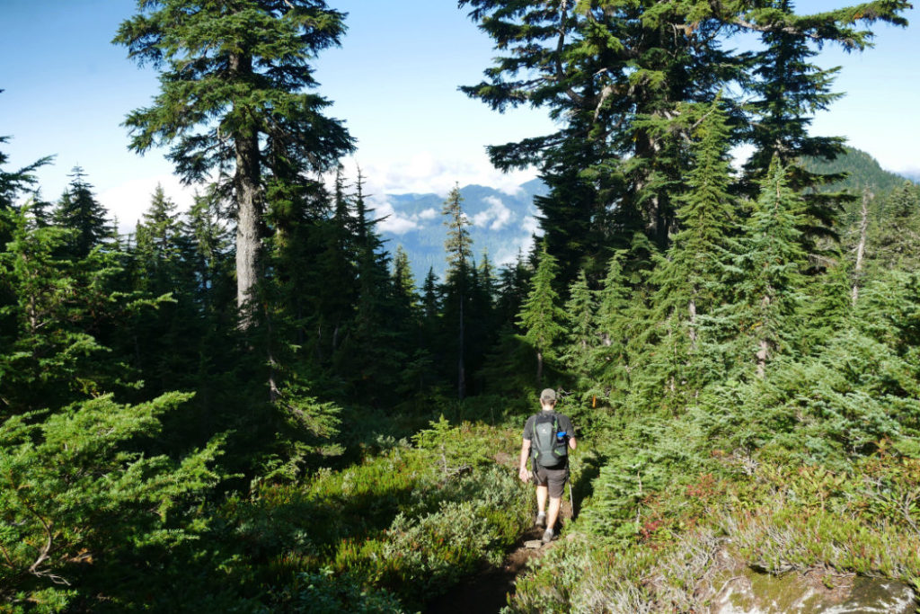 Start of the hike past Dam Mountain