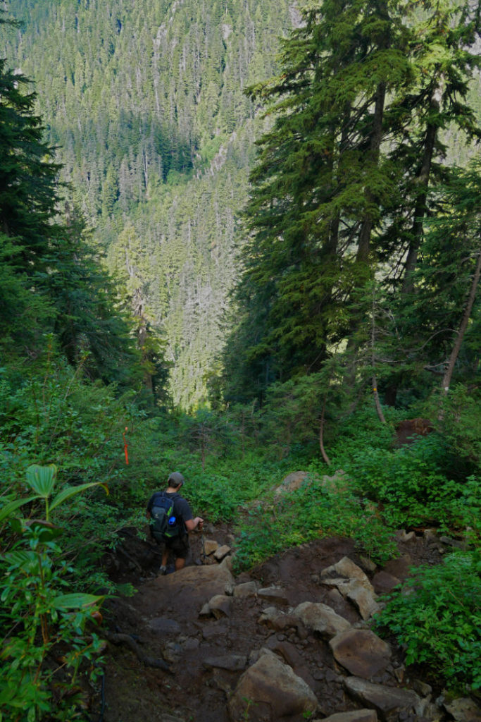 Trail down to Crown Pass