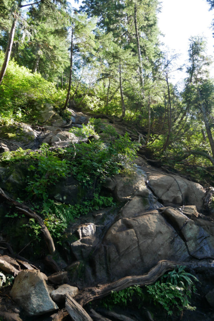 Trail up from Crown Pass