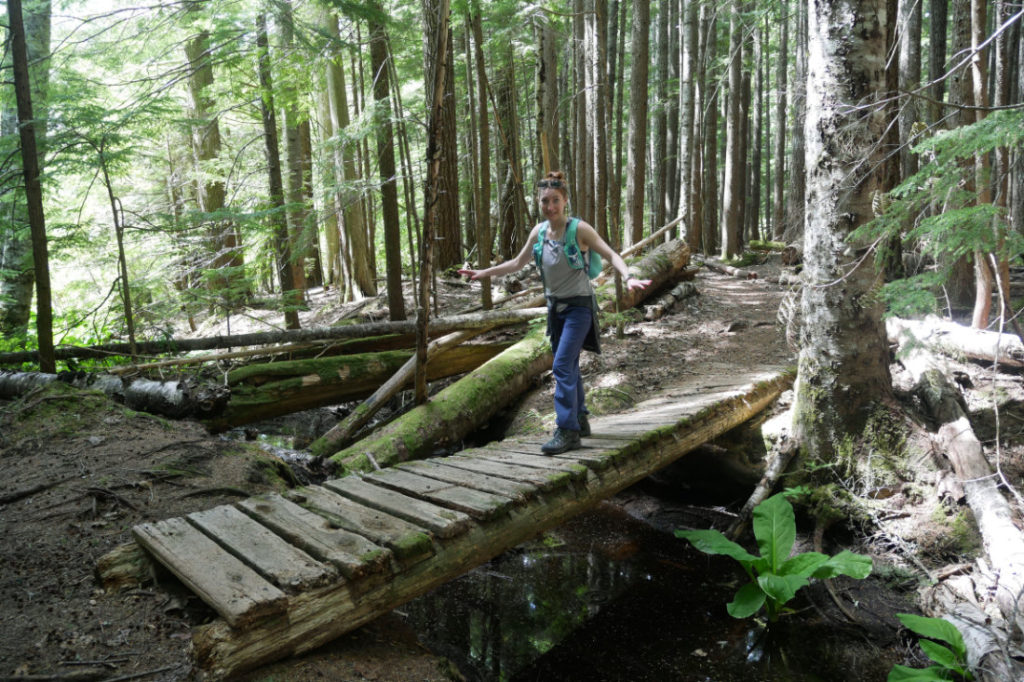 Ghetto bridges on the Lave Lake trail