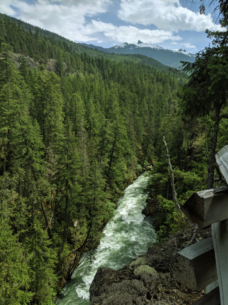 Black Tusk from the Cheakamus River
