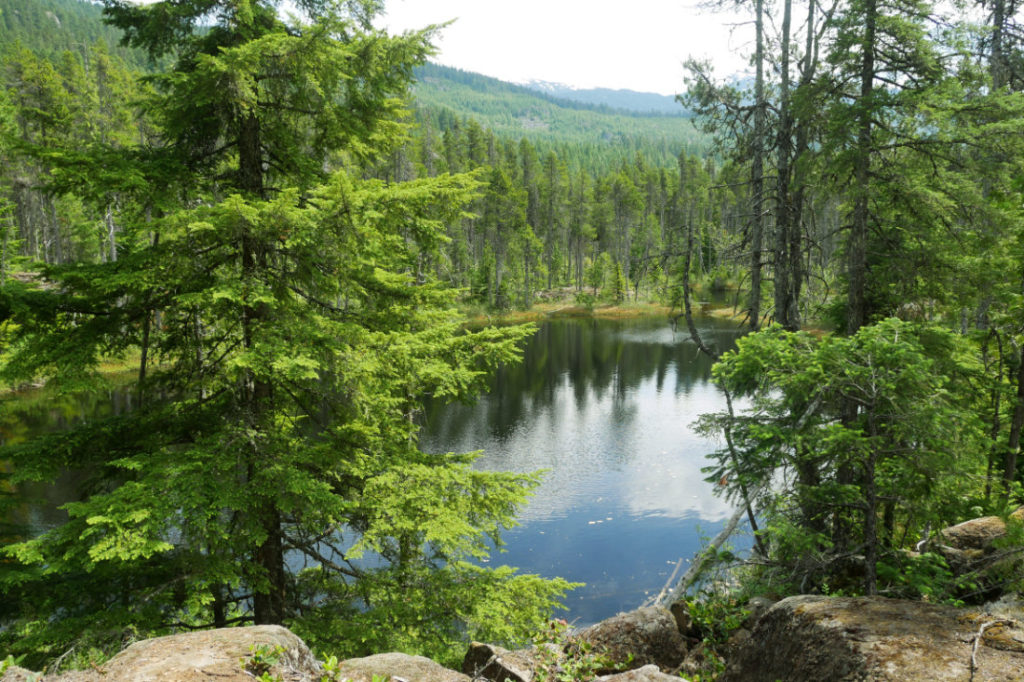 One of the many pretty lakes