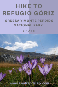 Refugio Góriz - gorgeous wildflowers in Ordesa y Monte Perdido National Park