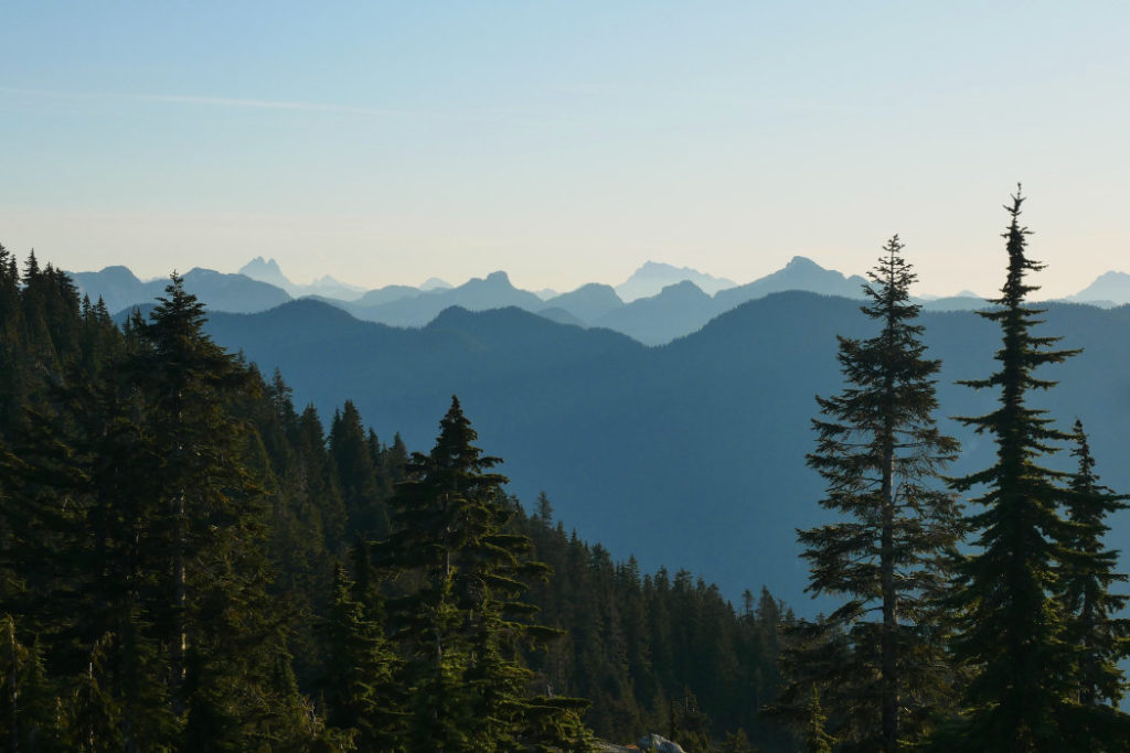 Views from the trail