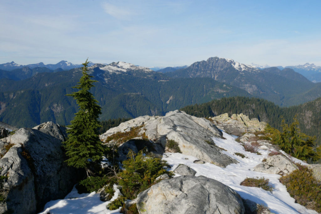 Mount Burwell and Cathedral Mountain from Mount Elsay