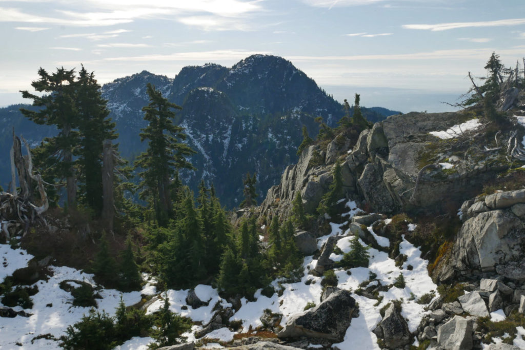 Mount Seymour from Mount Elsay