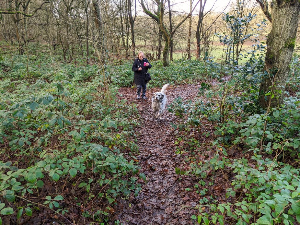 Elsa in Burntstump Country Park
