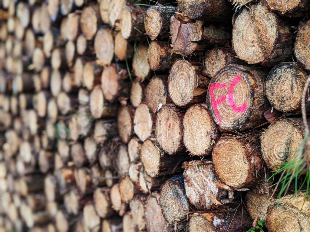 Watchwood plantation logs