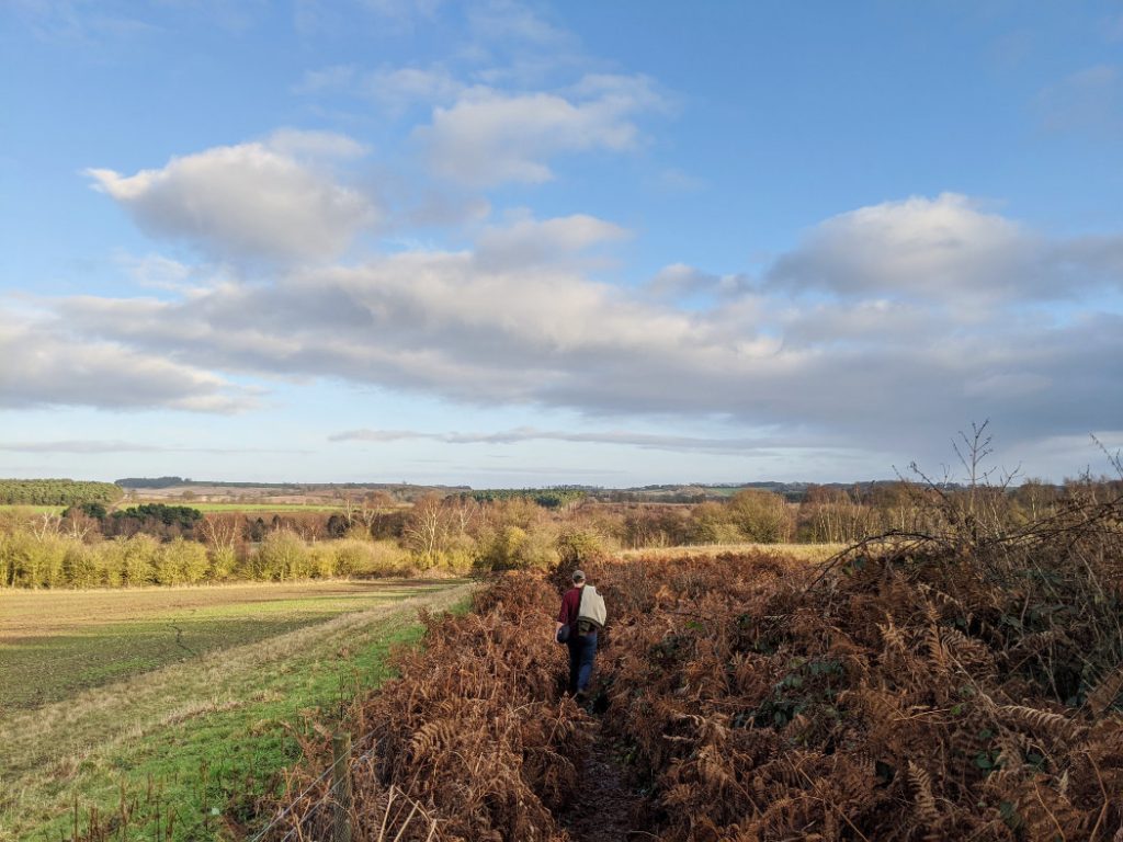 Heading off from the Watchwood plantation