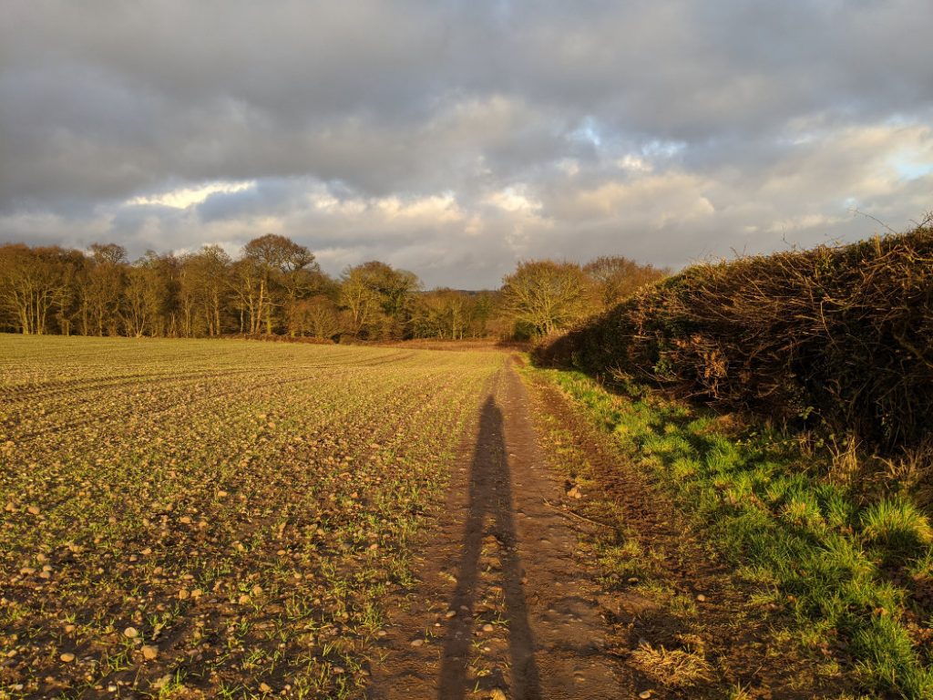 Pretty land near Caverton