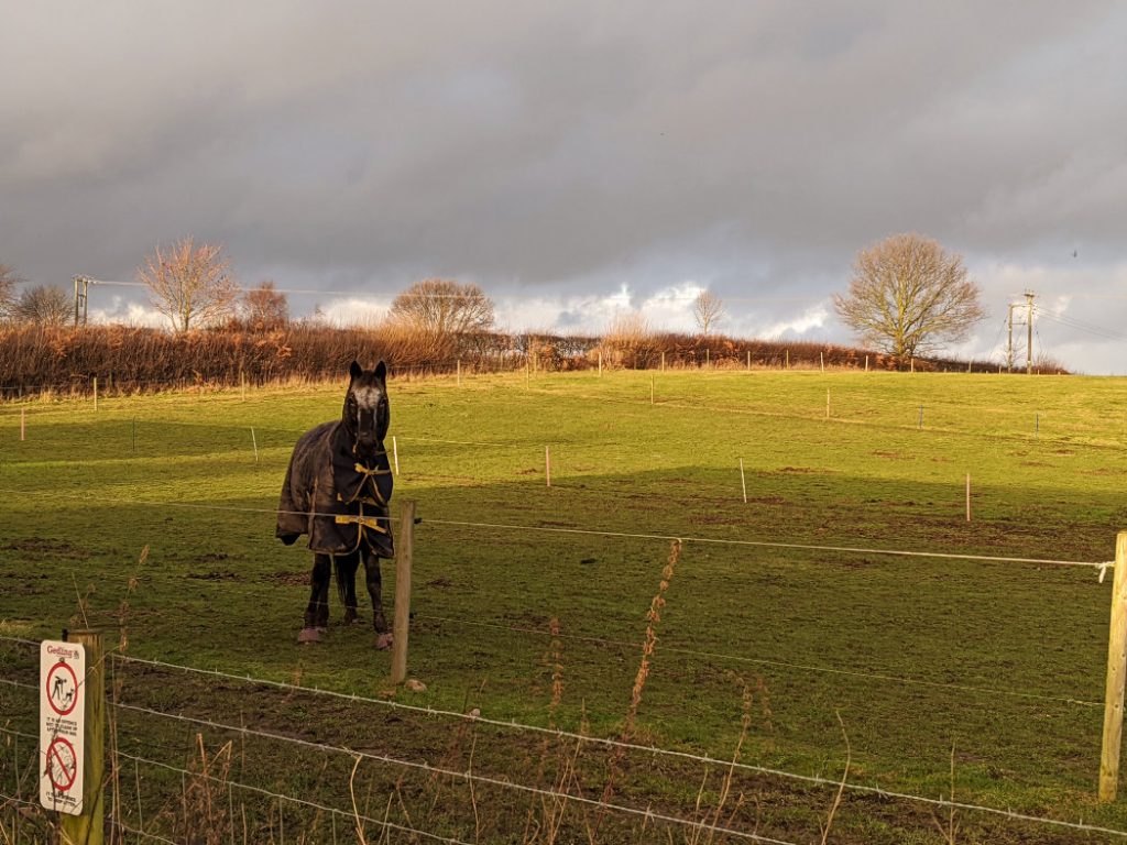 Hello horsey! This is at the back of Caverton