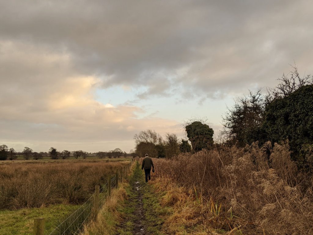 Super soggy fields