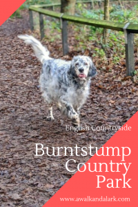 Burntstump Country Park - Great for Dog Walks near Nottingham