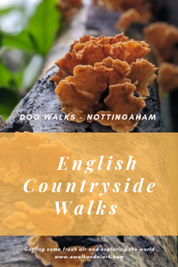 Burntstump Country Park to Woodborough - Dog walks near Nottingham