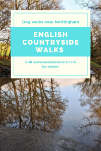 Walking in the English Countryside near Nottingham