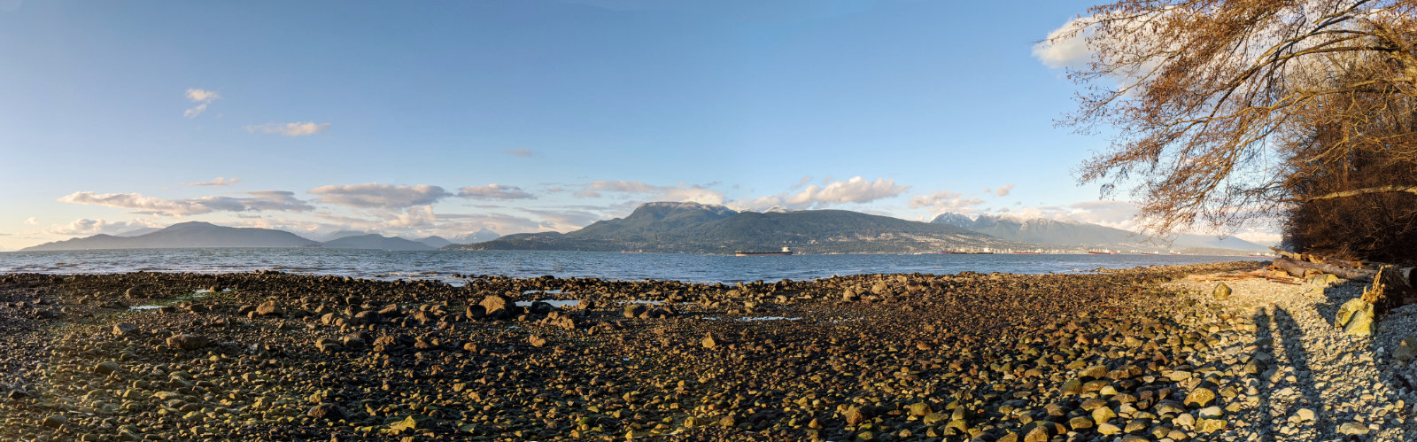 Between Acadia beach and tower beach panorama
