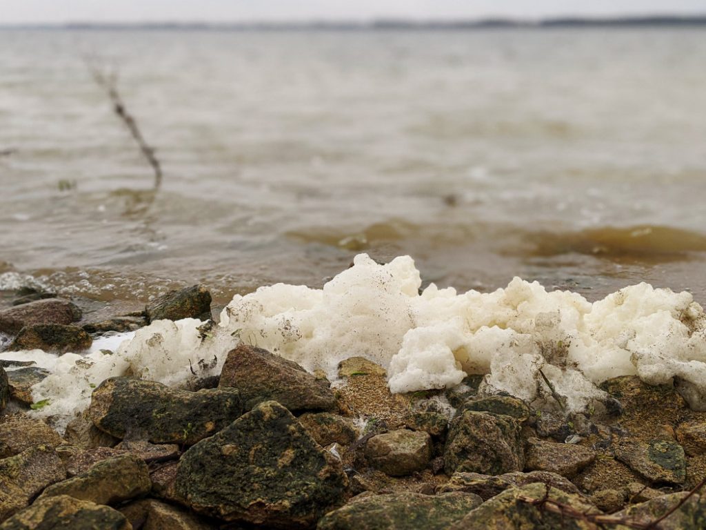 Bubbles on the edge of Grafham Water