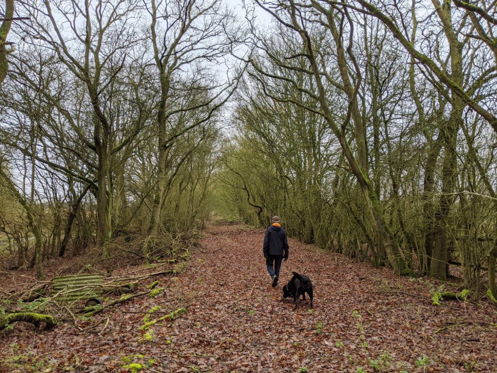Dad and dog walking