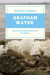 Grafham Water a fab area for dog walks