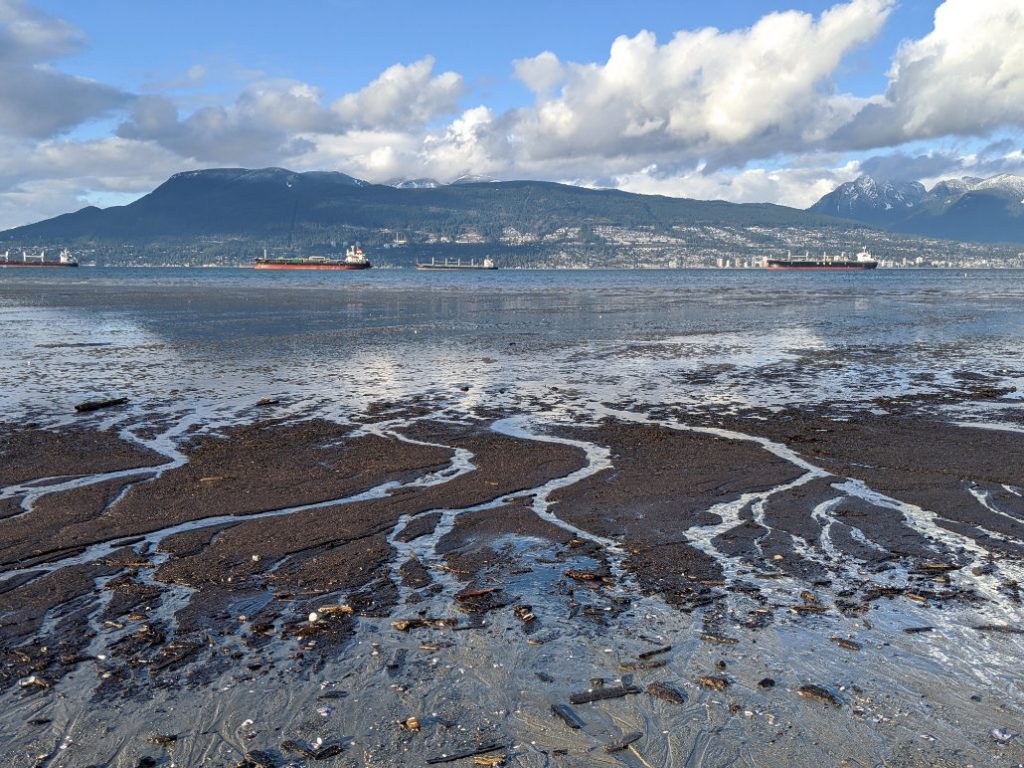 Locarno Beach looking out to the Burrard Inlet