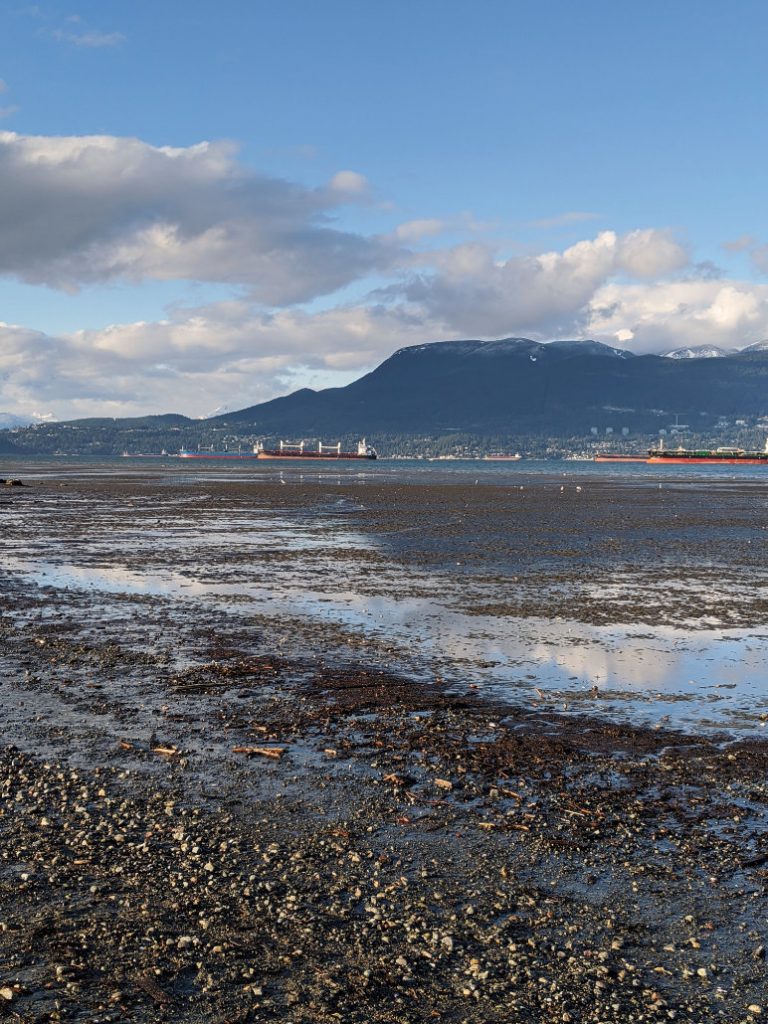 Locarno Beach towards Black Mountain