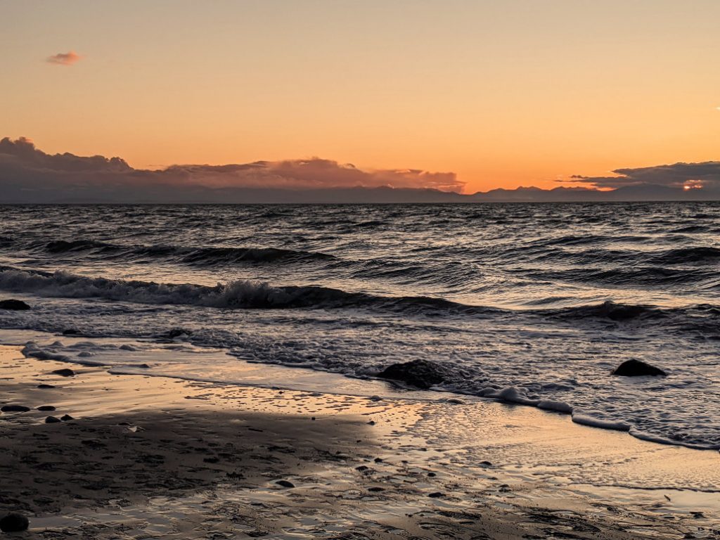 Out at UBC - the edge of Wreak beach