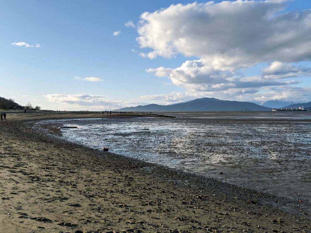 Spanish Banks