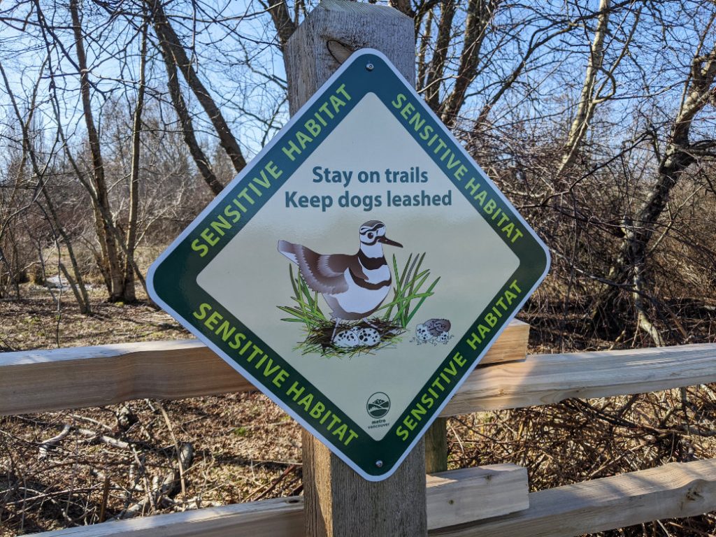 Keep dogs on a lead as its a bird habitat