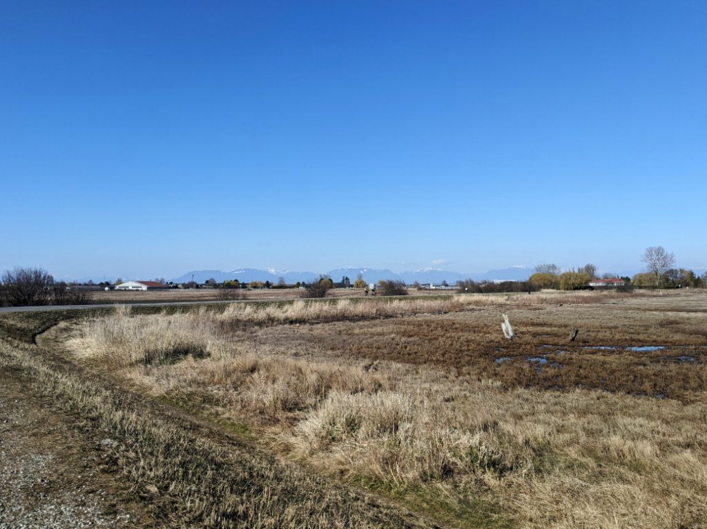 Boundary Bay Dyke Trail