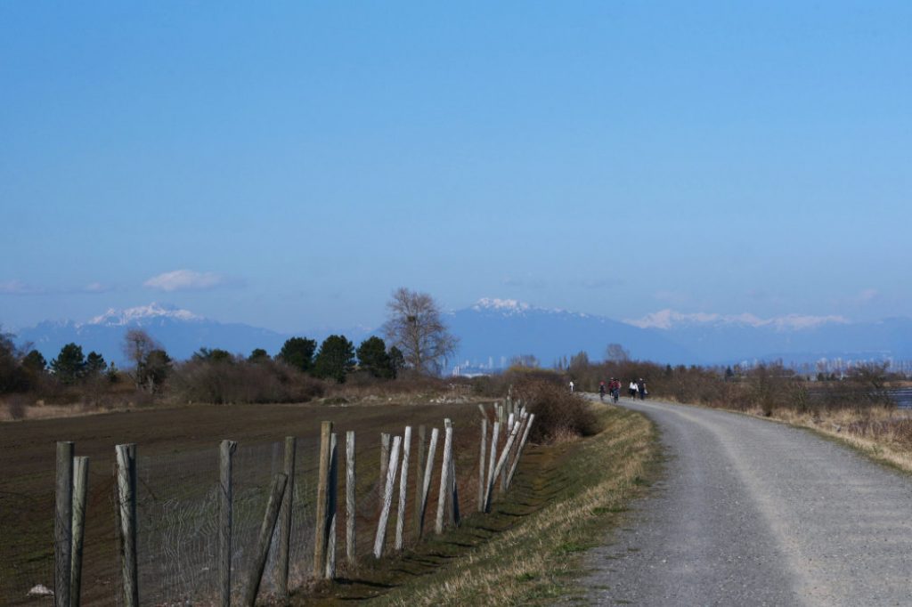 Boundary Bay Dyke trail pathway