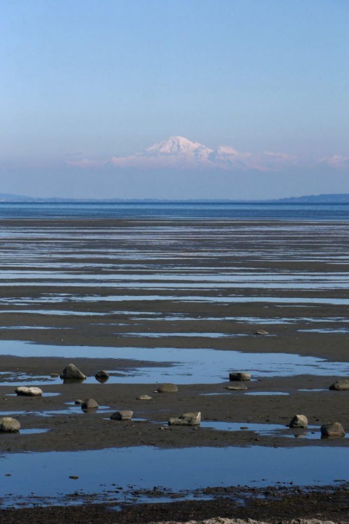 Mount Baker and sands Boundary Bay Dyke Trail