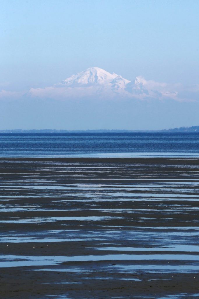 Mount Baker from Boundary Bay Dyke Trail