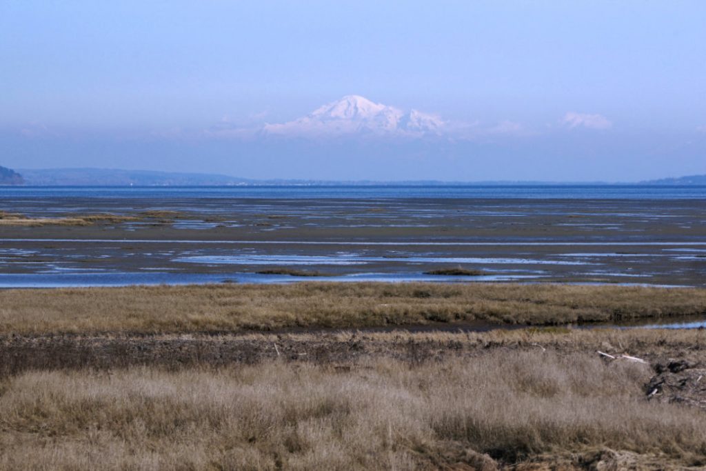 Mount Baker Boundary Bay Dyke Trail