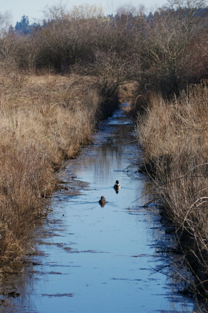 Boundary Bay Regional Park
