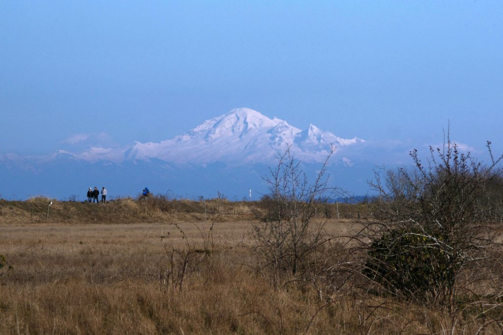 Mount Baker looking close from Boundary Bay