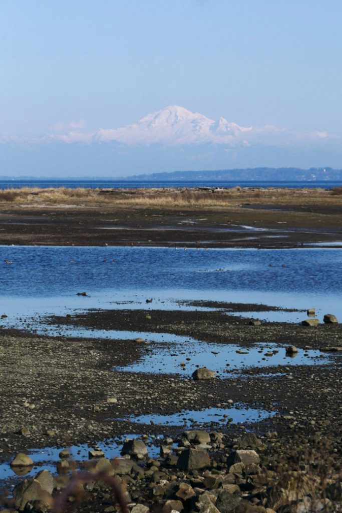 Last view of Mount Baker from Boundary Bay Regional Park