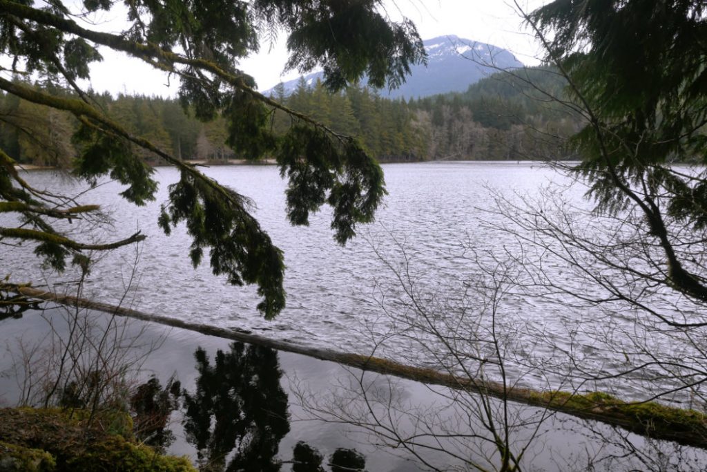 Alice Lakefrom the forest